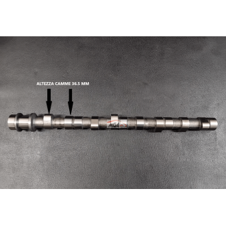 Albero distribuzione Hyundai-Mitsubishi-Ford-Dodge-Kia 2.5 dCi 4D56-D4BH