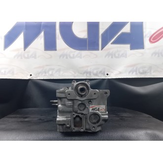 Testata Suzuki-Mazda -Ford-Kia-Volkswagen 2.0 8 valvole revisionata completa di molle-valvole-albero distribuzione