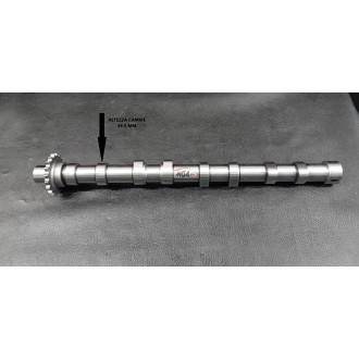 Albero distribuzione Peugeot-Ford-Citroen nuovo sia scarico che aspirazione codice motore AH03